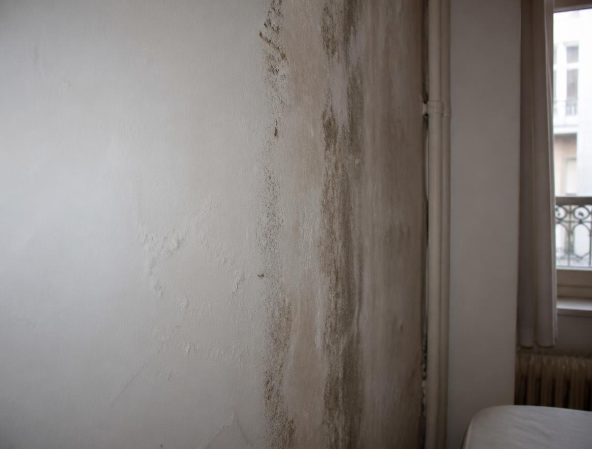 Mur mitoyen intérieur marqué par une infiltration d'eau dans un appartement d'Ivry-sur-Seine