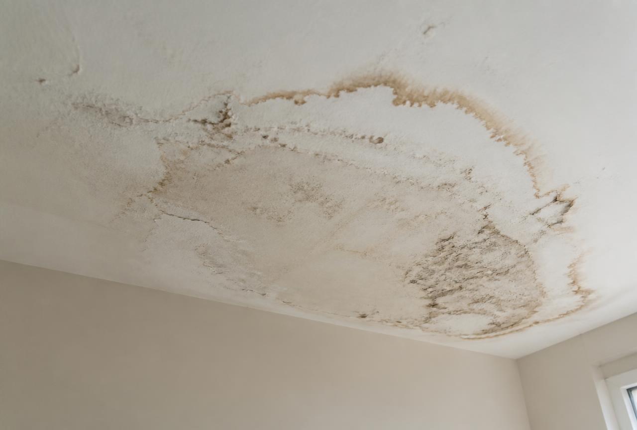 Auréole d'infiltration au plafond d'un appartement de Boulogne-Billancourt
