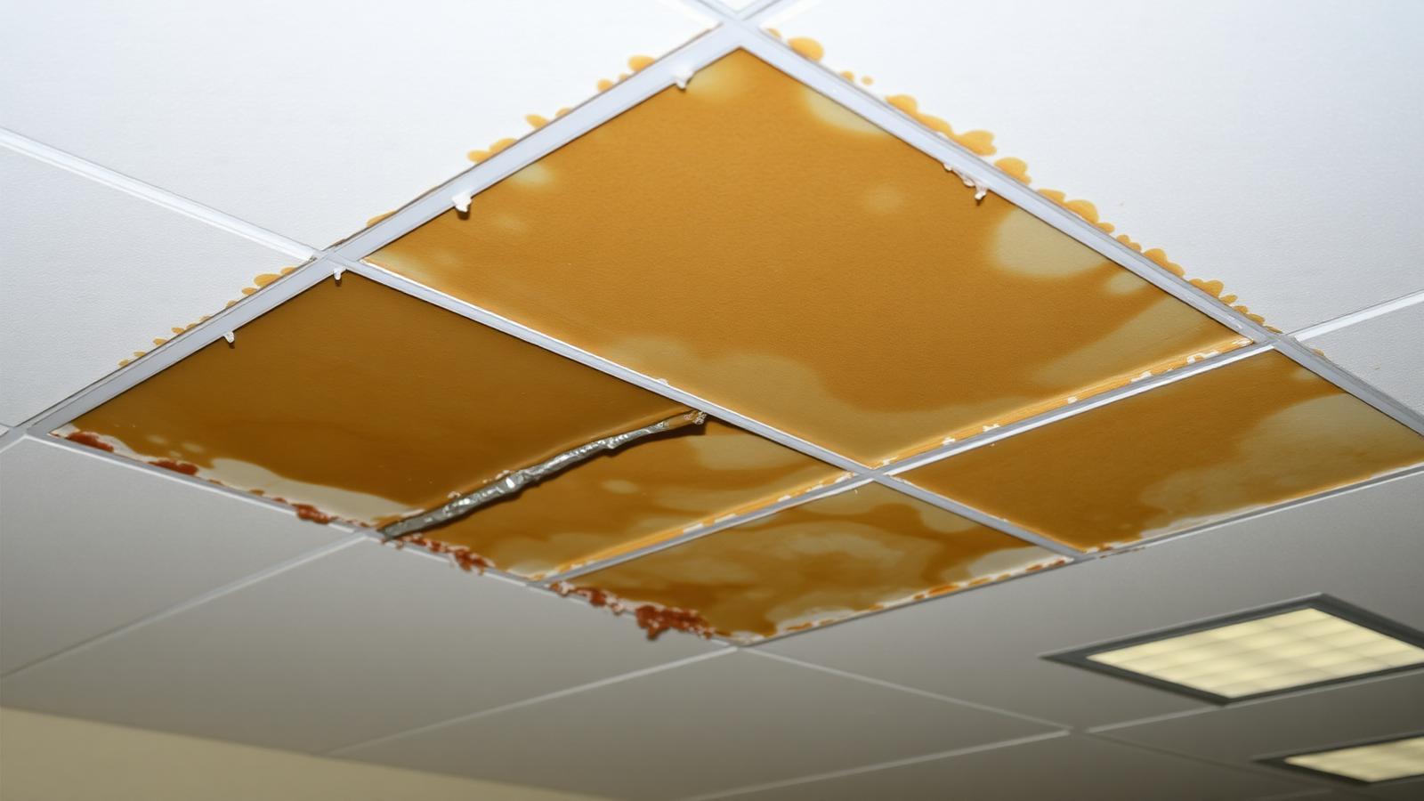 Dalle de faux plafond gorgée d'eau dans un bâtiment collectif de Villetaneuse