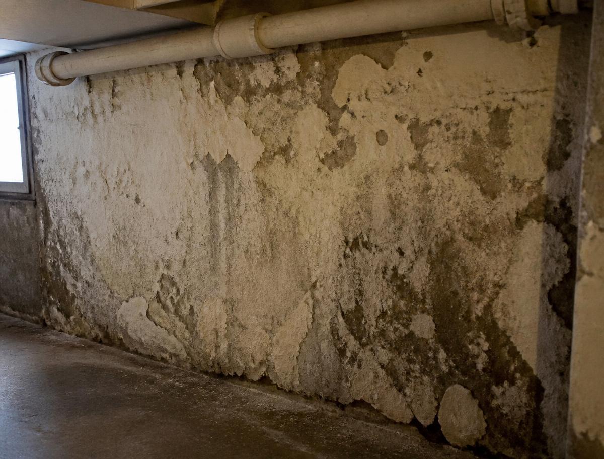 Mur de sous-sol marqué par l'humidité dans une maison de Maisons-Alfort, entre Marne et Seine