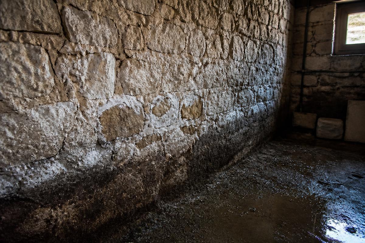 Mur intérieur dégradé par l'humidité dans un logement ancien du centre de Meaux